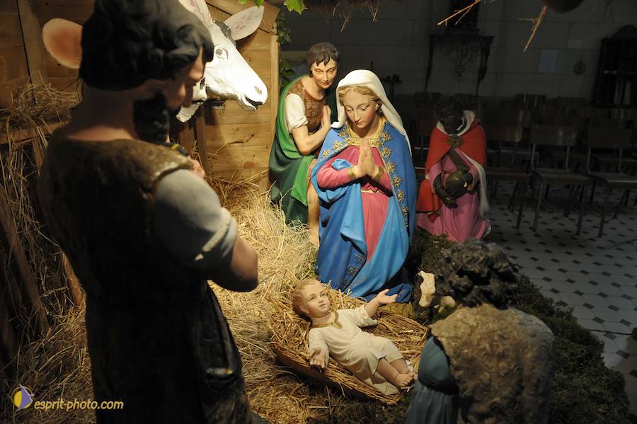 Nom de l'image : D30043072_1_(c)Norbert-JUNG — Description :